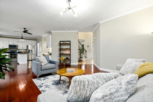 Tipps und Tricks: So beenden Sie das Scharren und Buddeln Ihres Hundes im Garten!